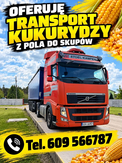 Transport kukurydzy z pola do skupów – ARTEO